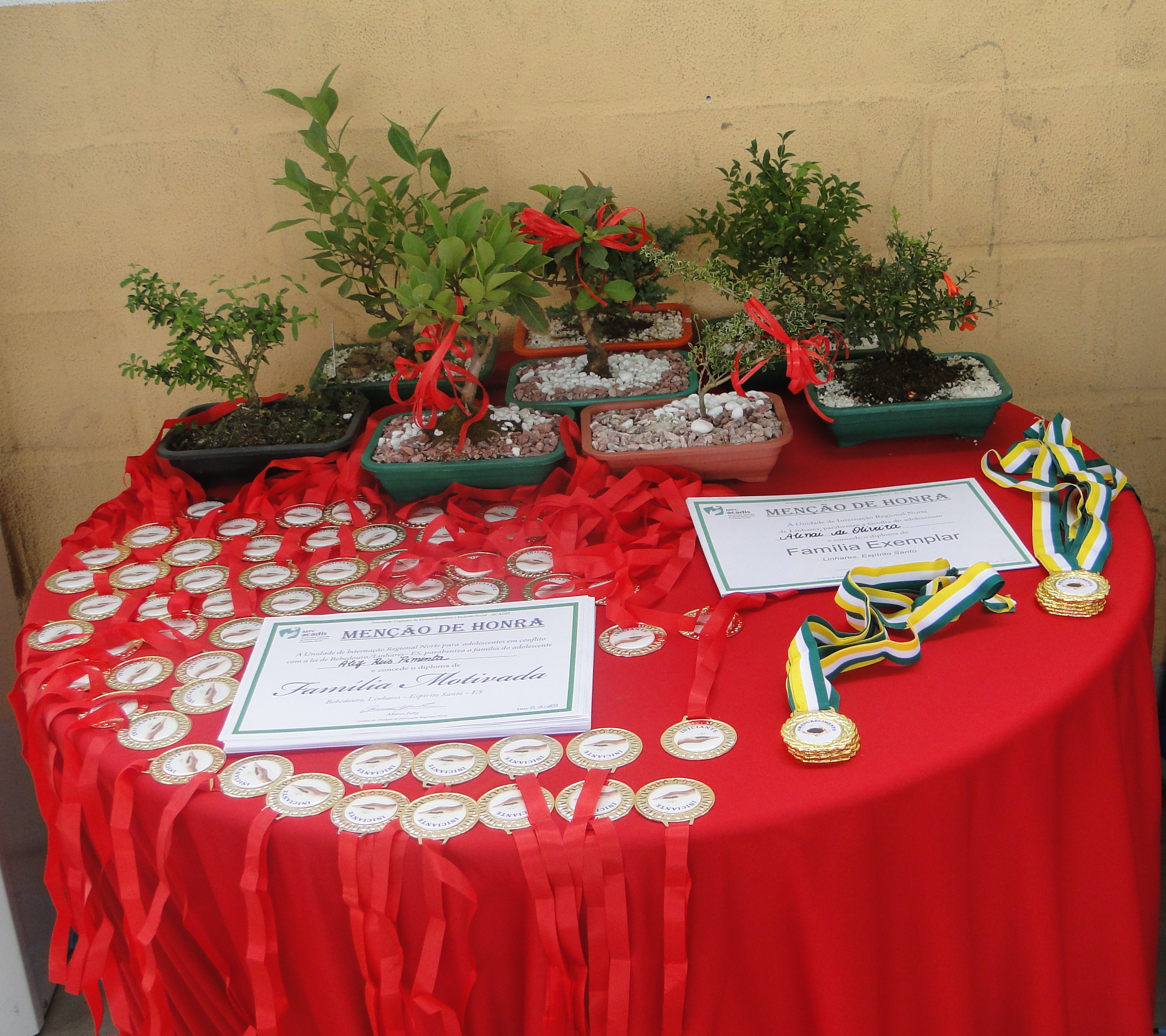 Bonsai2