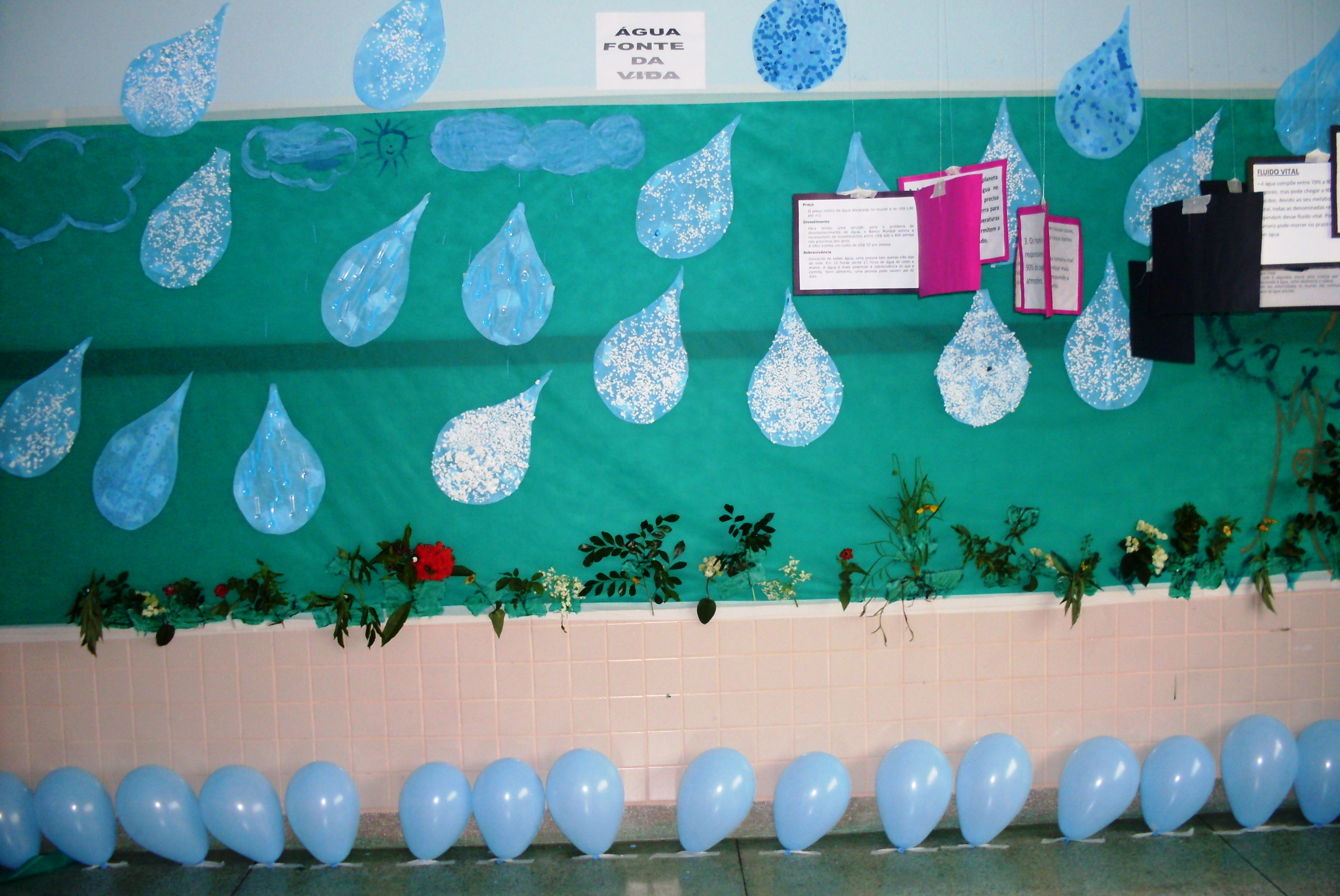 Paine_agua