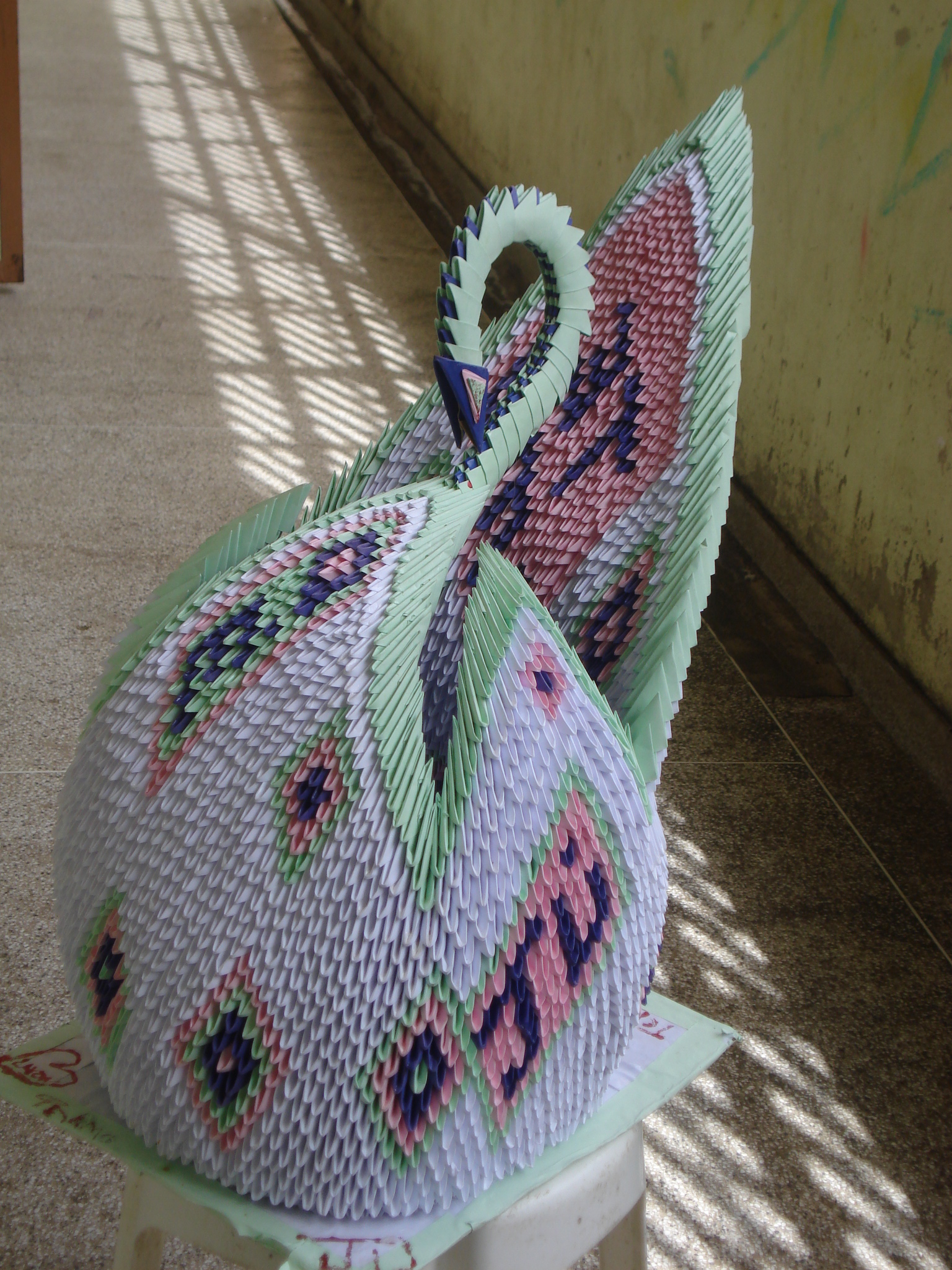 cisne_unis