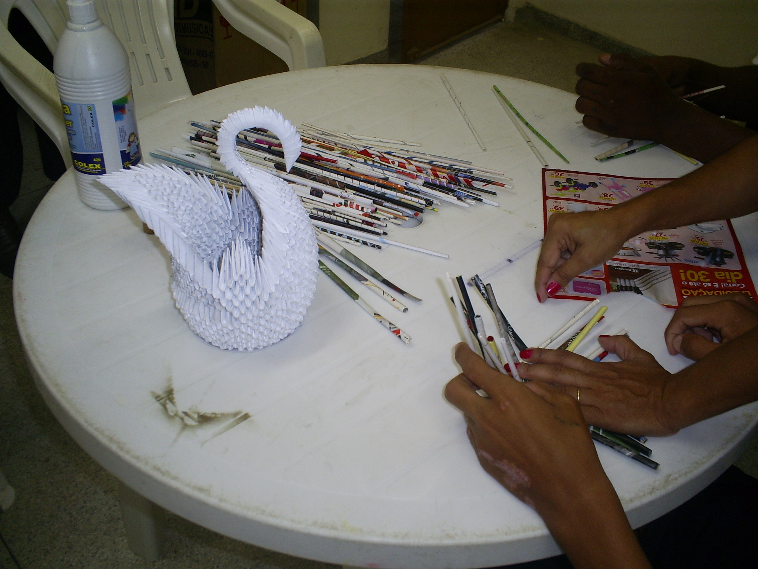 cisnes2