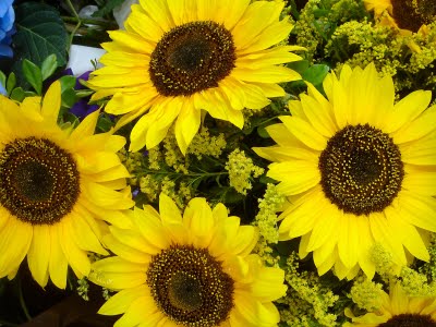 flores