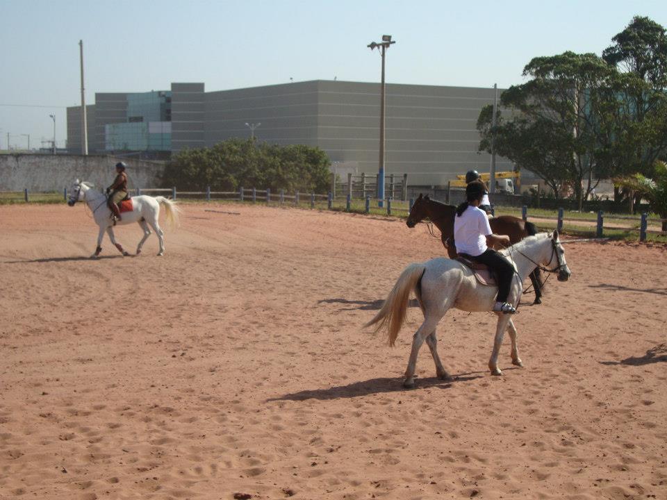 hipismo_3