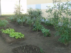huc
