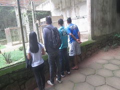 mlv