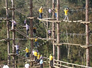 ppcapacitacao_cse_acadis